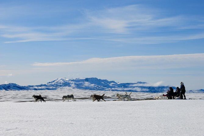 Small Group Husky Sledding Tour from Capital Region - Exploring the Core of the Experience