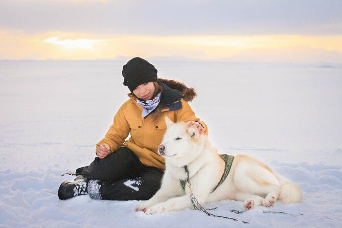 Small Group Husky Sledding Tour from Capital Region - The Scenic Stop: 58GF+FC