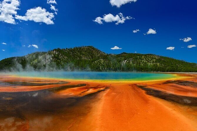 Small Group In-Depth Yellowstone&Grand Teton 5-Day w/2NightCabins - Day Four: Unique Encounters and Wildlife