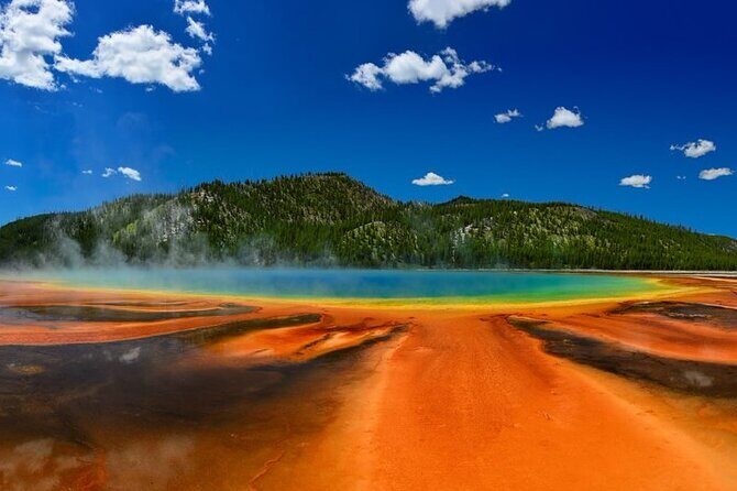 Small Group In-Depth Yellowstone&Grand Teton 5-Day w/2NightCabins - What Makes This Tour Stand Out?