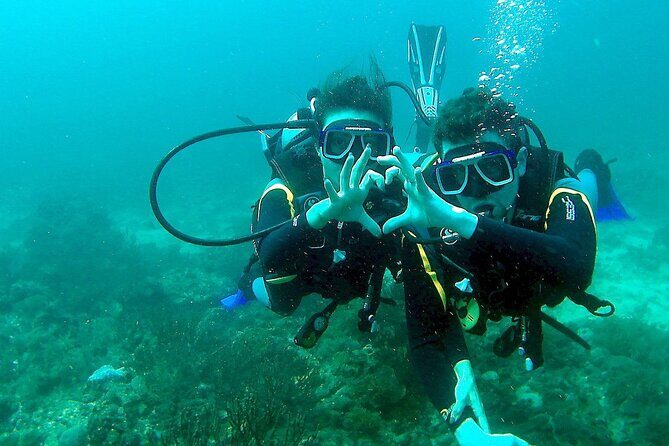 Small-Group Introductory Scuba Diving in Pula - The Bottom Line: Who Is This Tour For?