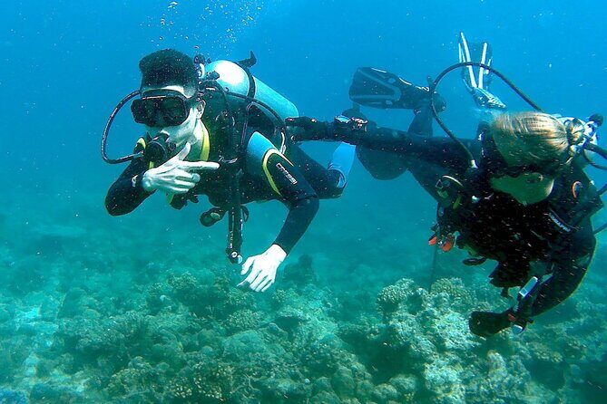 Small-Group Introductory Scuba Diving in Pula - Final Thoughts