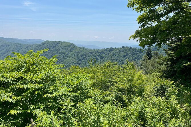 Small-Group Jeep Tour of Smoky Mountains Foothills Parkway - FAQ