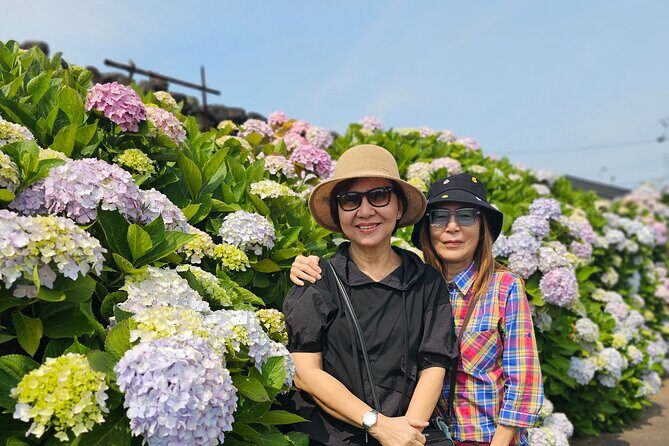 Small group Jeju private Full-Day Tour of East and South and West - The Sum Up