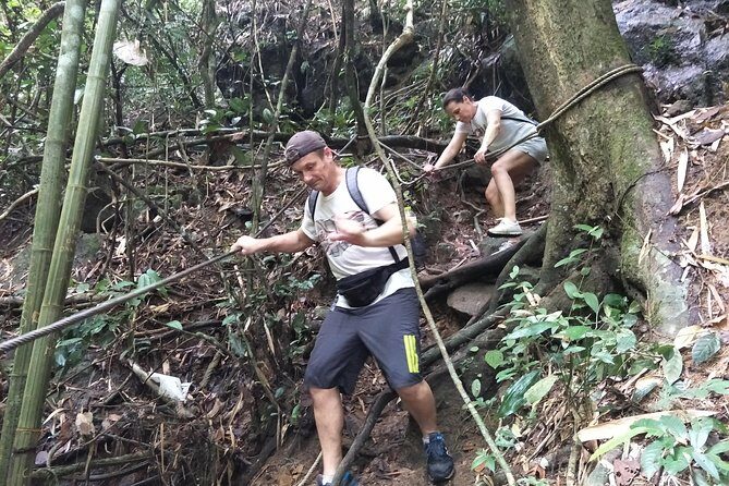 Small-Group Jungle Hiking Excursion in Khao Phra Teaw Park - An In-Depth Look at the Jungle Trek