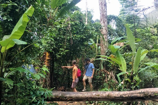 Small-Group Jungle Hiking Excursion in Khao Phra Teaw Park - Frequently Asked Questions