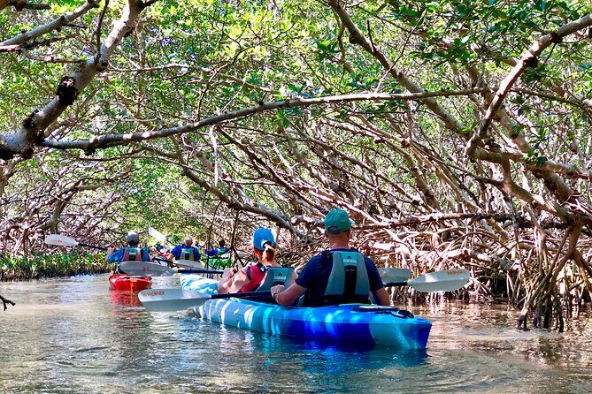 Small Group Kayak Tour of the Shell Key Preserve - Exploring Shell Key Preserve: A Complete Review