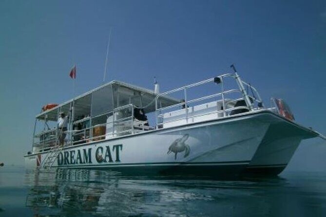 Small Group Key West Snorkel Adventure - Why This Tour Is a Solid Choice