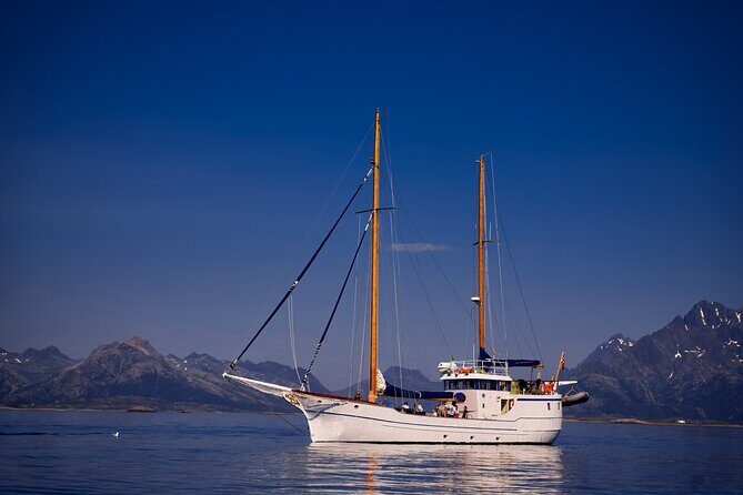 Small Group Luxury Cruise to Trollfjord on a 33m Classic Yacht - Why Travelers Love This Cruise
