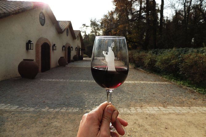 Small-Group Maipo Vineyards Full-Day Experience with Optional Lunch - The Sum Up