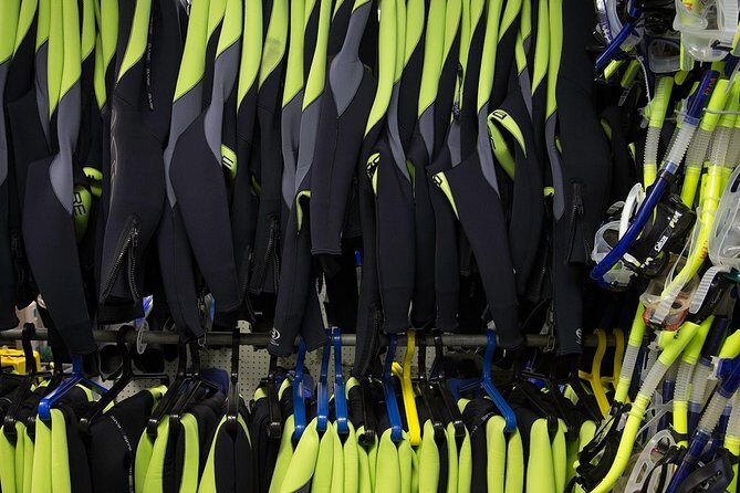 Small group Manatee Tour with In-Water Divemaster/Photographer - FAQs