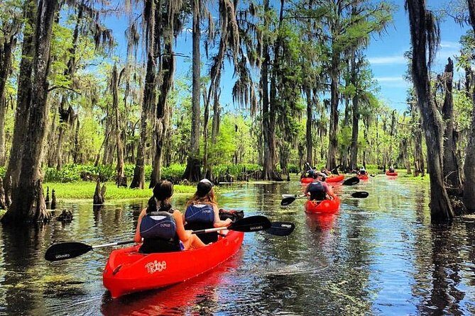 Small-Group Manchac Swamp Kayak Tour - A Detailed Look at the Manchac Swamp Kayak Tour