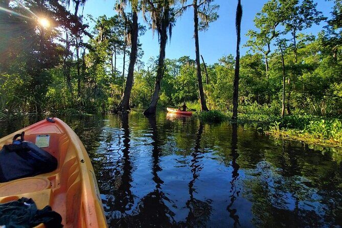 Small-Group Manchac Swamp Kayak Tour - Final Thoughts