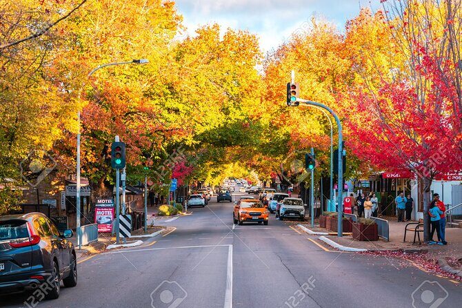 Small Group McLaren Vale and Hahndorf Tour - Key Points: