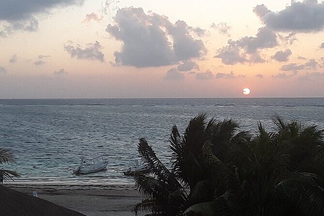 Small-Group Mesoamerican Barrier Reef Snorkeling in Puerto Morelos - A Deep Dive into the Experience
