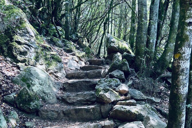 Small Group Mountain Day Trip - FAQ
