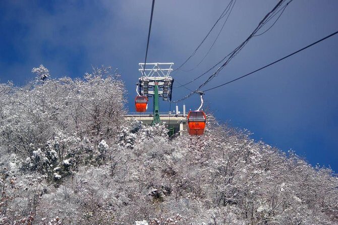 Small Group Mutianyu Great Wall and Ming Tombs Tour with Cable Car and Lunch - Who Would Love This Tour?