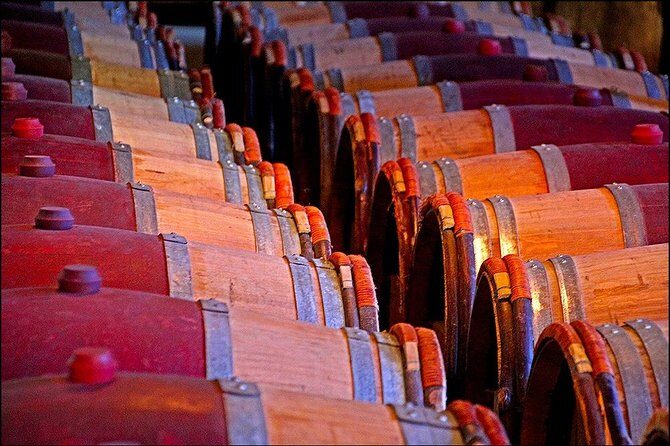 Small group - Napier, Wine and Beer Tour - 5.0 - 5.5 hours - Who Should Consider This Tour?