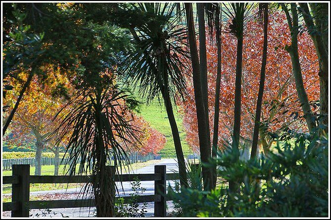Small group - Napier, Wine and Beer Tour - 5.0 - 5.5 hours - FAQs