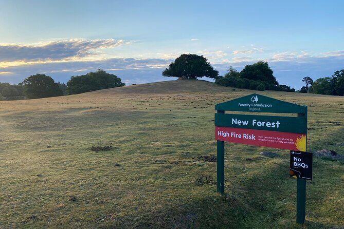 Small-group New Forest Discovery Walk from Lyndhurst - Key Points