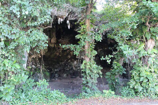 Small-Group North Coast Beach Hopping Adventure in Puerto Rico - The Practicalities of the Tour