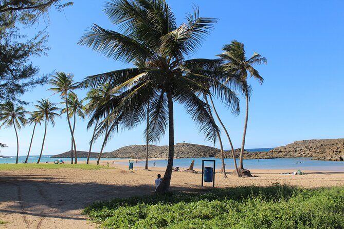 Small-Group North Coast Beach Hopping Adventure in Puerto Rico - FAQ