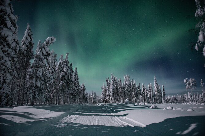 Small Group Northern Lights Hunting with BBQ and visiting Cabin - Key Points