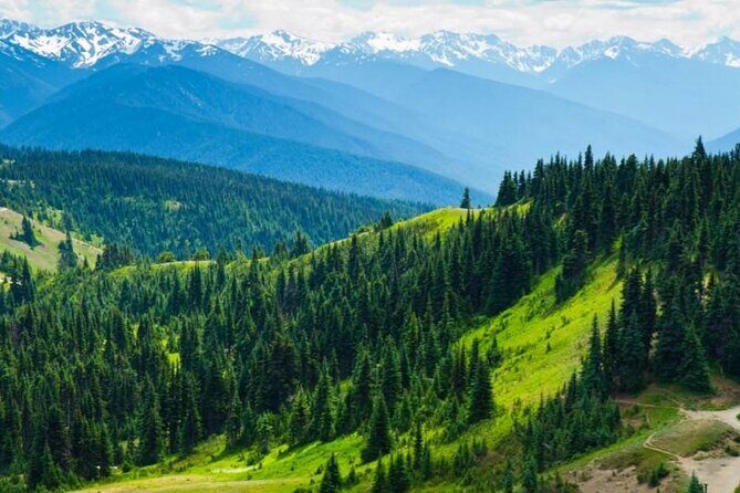 Small Group Olympic National Park Day Tour from Seattle 2CanGo - Discover Olympic National Park in a Day: An In-Depth Review of the Small Group Tour from Seattle