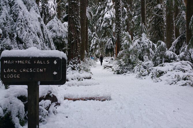 Small Group Olympic National Park Day Tour from Seattle 2CanGo - A Thorough Breakdown of the Olympic National Park Tour