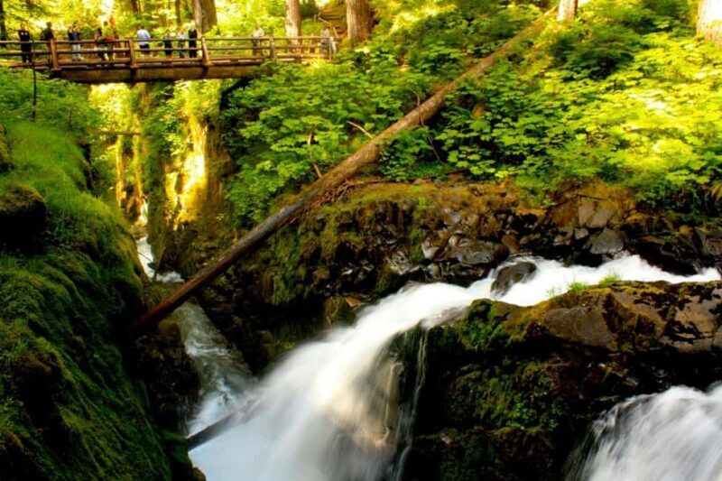 Small Group: Olympic National Park Day Tour From Seattle - Quick Snapshot: What this Tour Offers