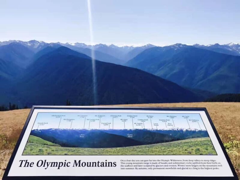 Small Group: Olympic National Park Day Tour From Seattle - What Makes This Tour Stand Out?