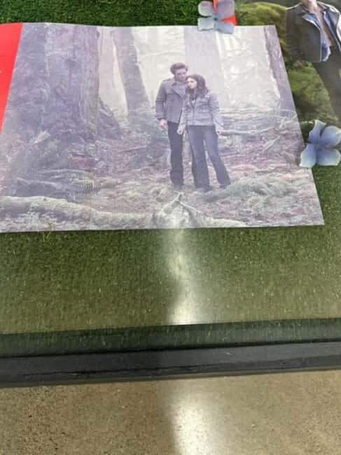 Small Group: Olympic Park & Forks Day Trip From Seattle - Frequently Asked Questions