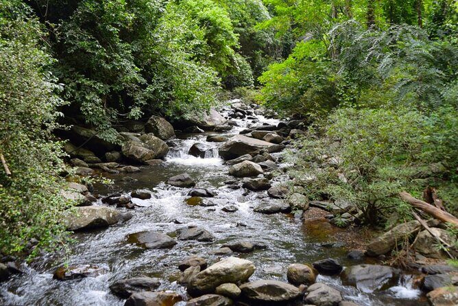 Small-Group Pala U Waterfall Jungle Tour from Hua Hin - Final Thoughts: Is It Worth It?