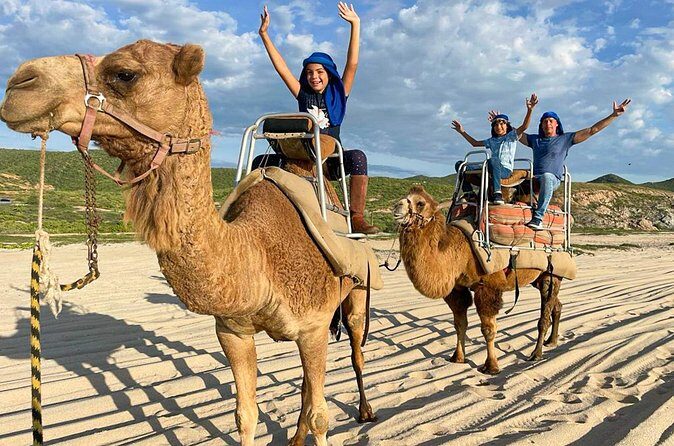 Small Group Private Camel Ride and Beach Adventure in Migrino - Who Will Love This Tour?