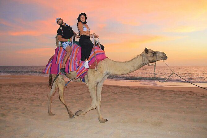 Small Group Private Camel Ride and Beach Adventure in Migrino - Why Choose This Tour?