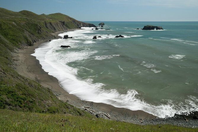 Small Group Redwoods, California Coast & Sausalito Day Trip from San Francisco - A Close Look at the Redwoods and Coastal Charm
