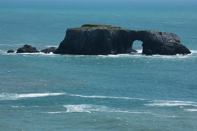 Small Group Redwoods, California Coast & Sausalito Day Trip from San Francisco - Who Will Love This Tour?