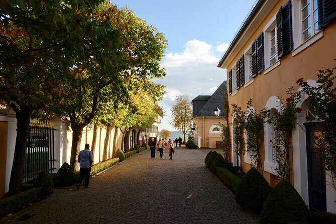Small Group Rheingau Vineyards Tour with Castles and Abbeys - In-Depth Review of the Rheingau Vineyards Tour
