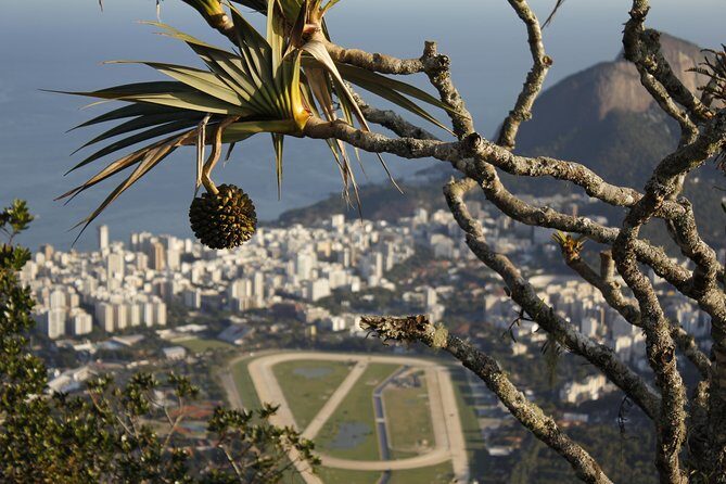 Small-Group Rio de Janeiro in a Day Tour - FAQ