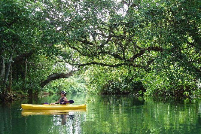 Small Group River Kayaking Tour from Port Vila - Small Group River Kayaking Tour from Port Vila