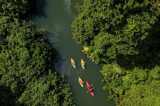 Small Group River Kayaking Tour from Port Vila - Why This Tour Offers Great Value