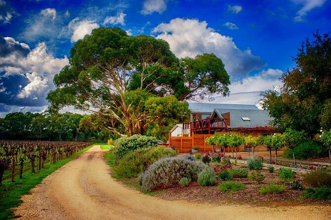 Small-Group River Murray Dark Sky and Sunset Tour with Dinner - FAQs