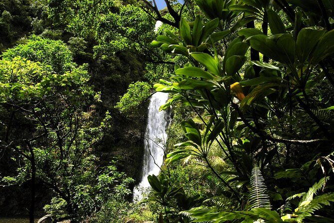 Small-Group Road to Hana Luxury Tour - FAQ