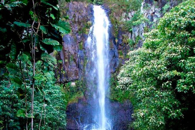 Small Group Road to Hna Tour 6 to 8 passengers - Practical Details You Should Know