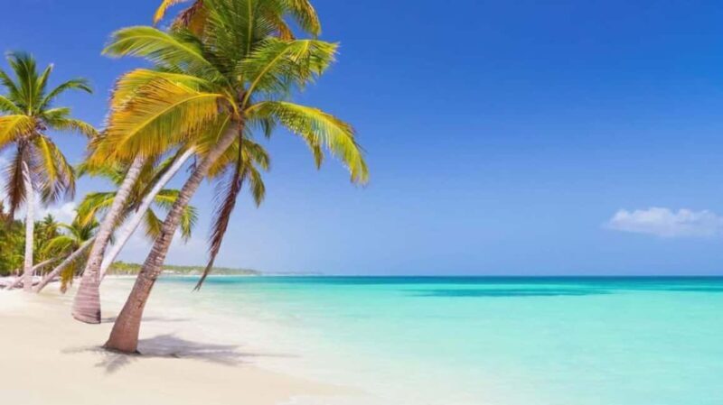 Small Group: Saona Island Full Day Tour Catamaran Open Bar - Who Will Love This Tour?