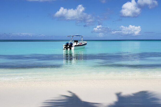 Small Group: Saona Island Full Day Tour - Experience the Heart of Saona Island: Small Group Tour Overview