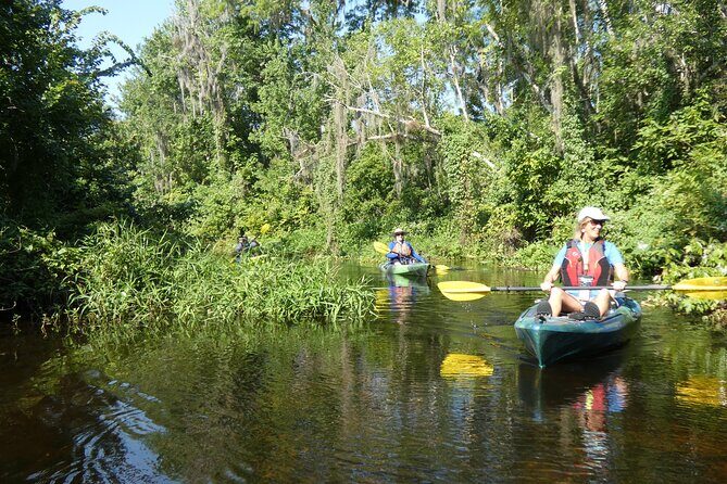 Small Group Scenic Wekiva River Kayak Tour near Orlando - Who would love this?