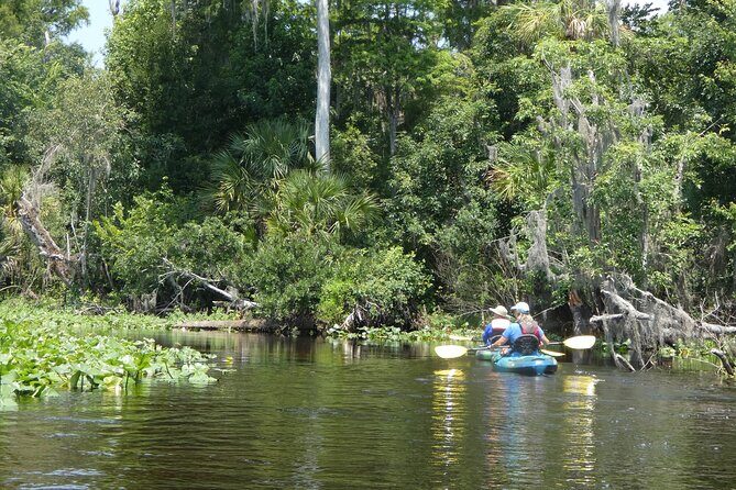 Small Group Scenic Wekiva River Kayak Tour near Orlando - FAQ
