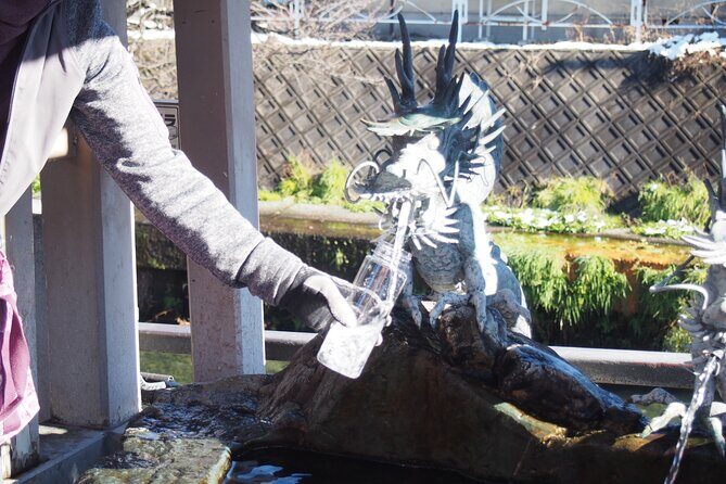 Small Group Sightseeing Tour Visit to Toyama with Lunch Included - A Deep Dive into the Toyama Small-Group Tour