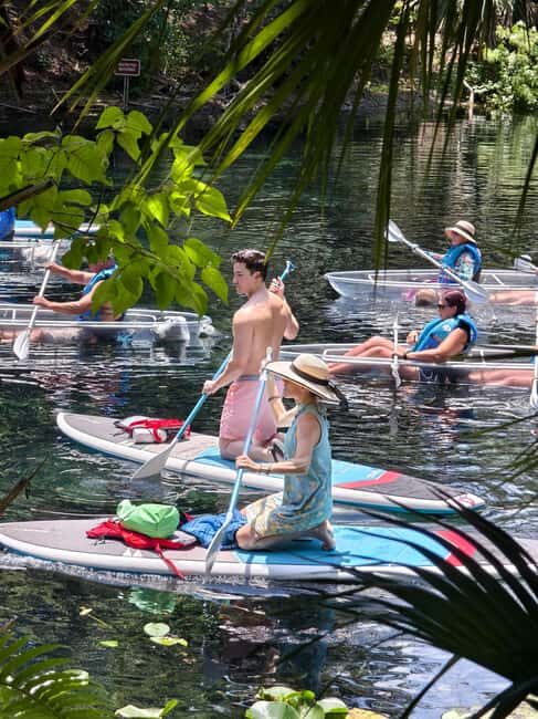 Small Group Silver Springs State Park Day Tour from Orlando - An In-Depth Look at the Silver Springs State Park Tour